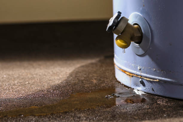  Franklin Furnace, OH Water damage restoration Pros