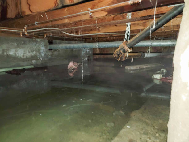 Best Emergency water damage restoration  in Franklin Furnace, OH