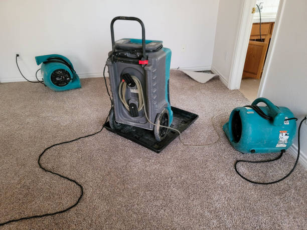 Best Ceiling water damage repair  in Franklin Furnace, OH