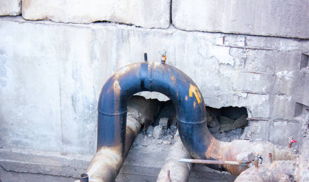 Best Basement water damage restoration  in Franklin Furnace, OH