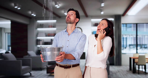 Best Carpet water damage restoration  in Franklin Furnace, OH
